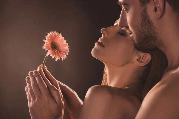 Naked sensual lovers holding flower, on brown — Stock Photo