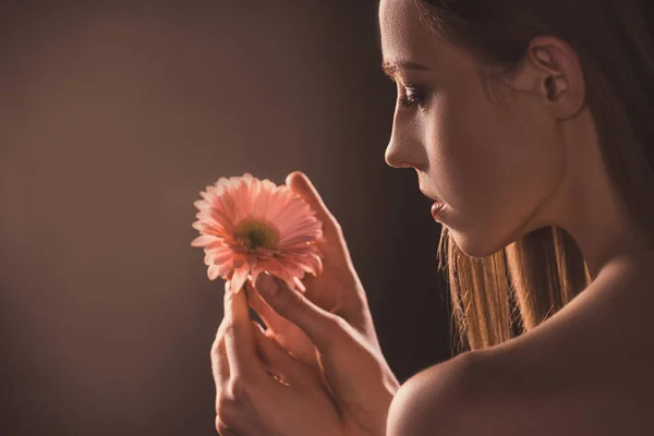 Attrayant tendre fille tenant gerbera fleur, sur brun — Photo de stock