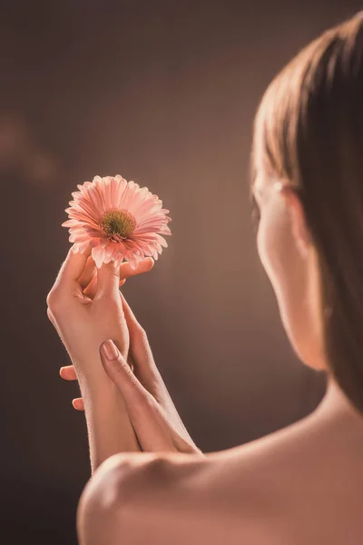 Back view of woman holding gerbera flower, on brown — Stock Photo