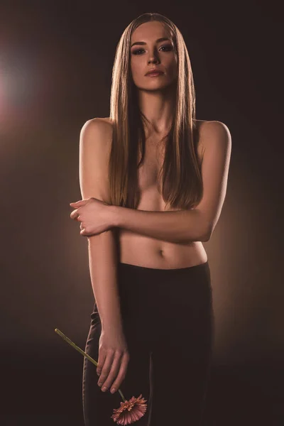 Attractive sensual girl with long hair holding flower, on brown — Stock Photo