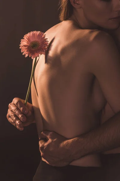 Vista recortada de los amantes tiernos abrazando y sosteniendo la flor de gerberas, aislado en marrón - foto de stock