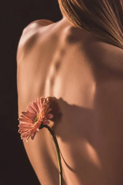 Visão traseira da menina nua com flor de gerbera, isolado em marrom — Fotografia de Stock