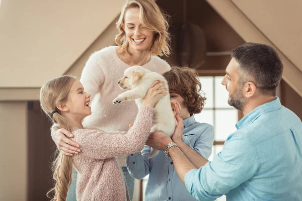 Молодая семья с красивым щенком лабрадора перед картонным домиком — стоковое фото