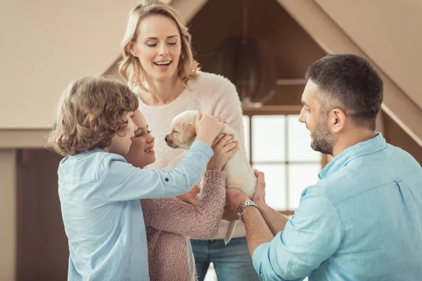 Famiglia con adorabile cucciolo labrador davanti alla casa di cartone — Foto stock