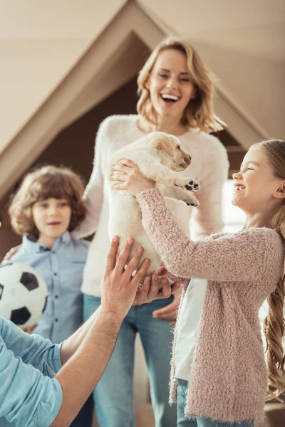 Família jovem feliz com filhote de cachorro labrador adorável na frente da casa de papelão — Fotografia de Stock