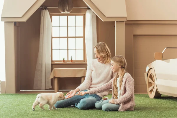 Mother and daughter playing with adorable labrador puppy in front of cardboard house — Stock Photo