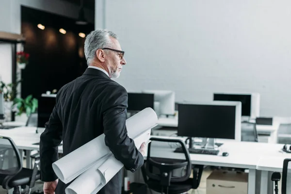 Back view of senior businessman with blueprints in office — Stock Photo