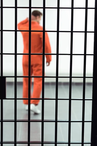 Rear view of prisoner in prison cell with metallic bars on foreground — Stock Photo