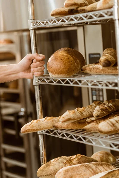 Baker holding shelves with fresh loaves of bread on baking manufacture — Stock Photo