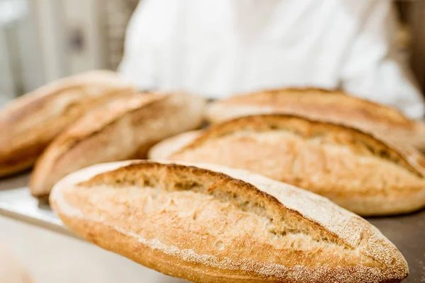 Baker holding tray with fresh loaves of bread — Stock Photo