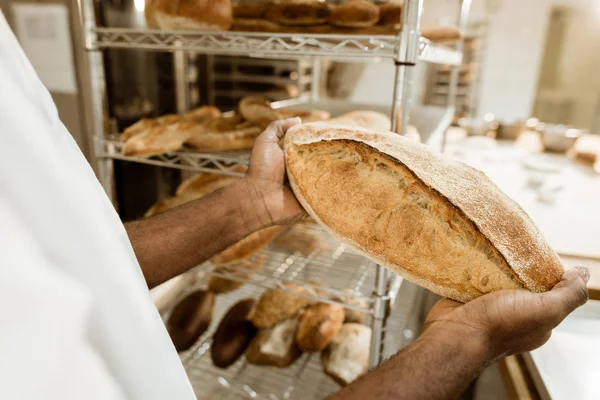 Cropped shof baker holding fresh loaf of bread on baking manufacture — Stock Photo