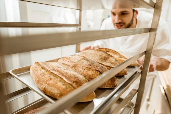 Close-up tiro de padeiro bonito colocando bandejas de pão fresco em stand na fabricação de cozimento — Fotografia de Stock
