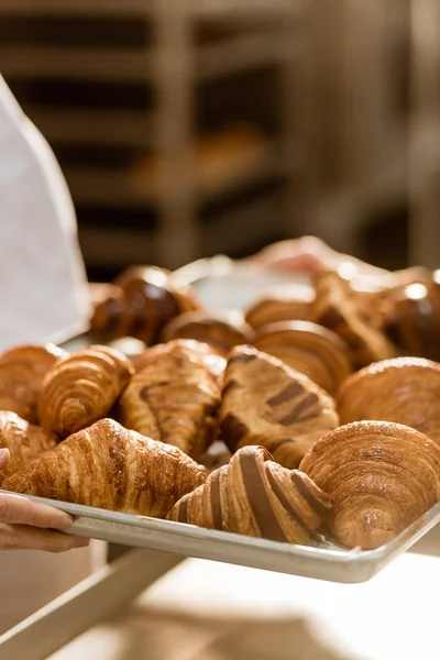 Cropped shot of female baker holding tray with croissants on baking manufacture — Stock Photo