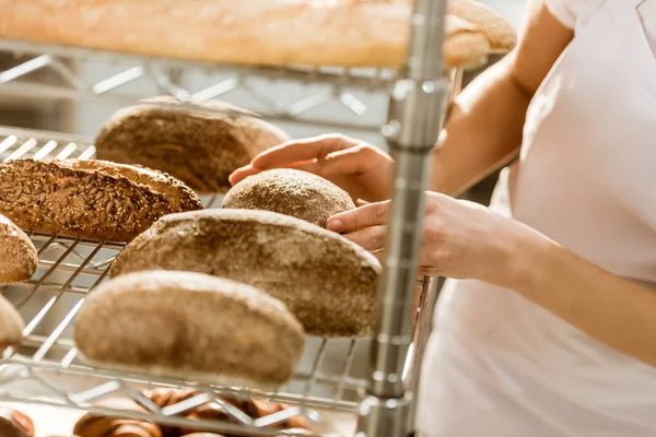Обрізаний знімок жіночого пекаря, який досліджує свіжоспечені хлібні хліби на виробництві випічки — стокове фото