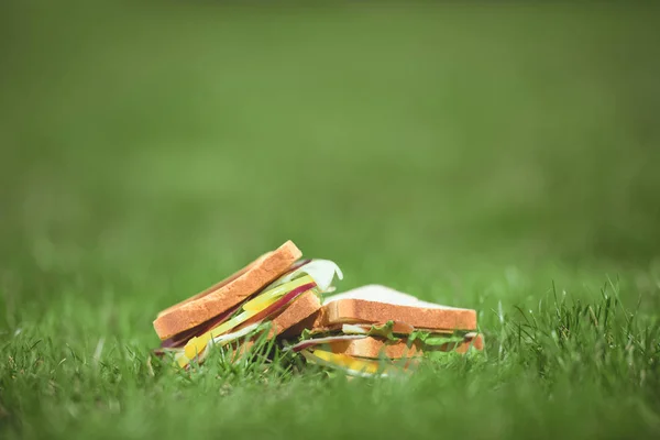 Closeup shot of two sandwiches on green grass — Stock Photo