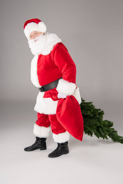 Санта-Клаус несет елку и мешок
