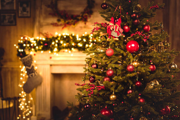 Christmas decorations hanging on fir tree  