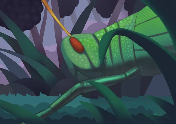 The Black Berry Garden with a Big Grasshopper — Stock Image The Black Berry Garden with a Big Grasshopper Stock Picture