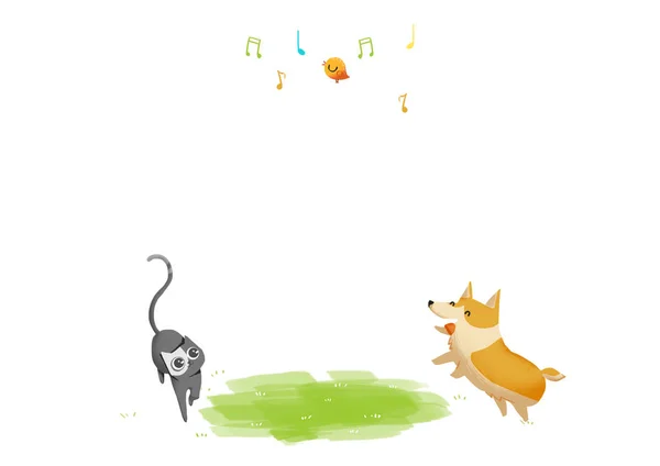 Dog, Cat and Bird