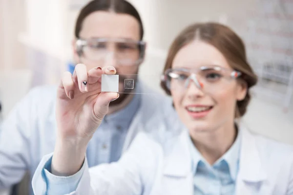Two scientists at work — Stock Photo, Image