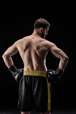 Sportsman in boxing gloves  clipart