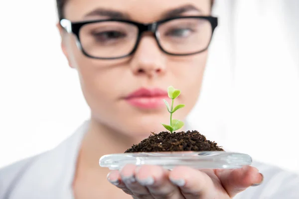 Female scientist with green plant — Stock Photo, Image