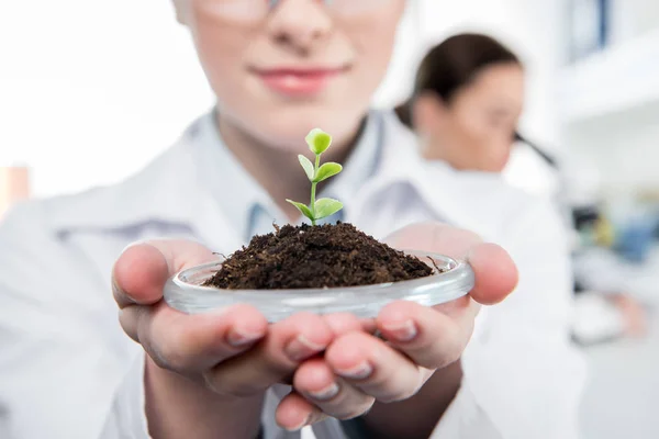 Female scientist with green plant — Stock Photo, Image