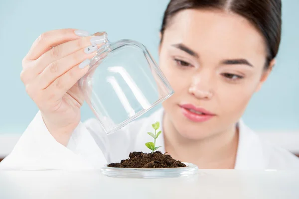 Cientista feminina com planta verde — Fotografia de Stock