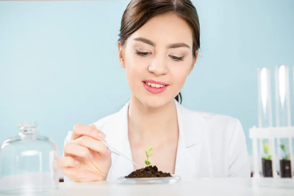 Female scientist with green plant — Stock Photo, Image