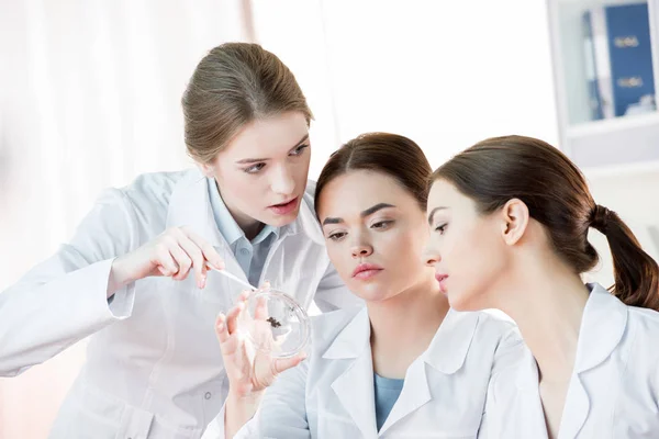 Femmes scientifiques en laboratoire — Photo