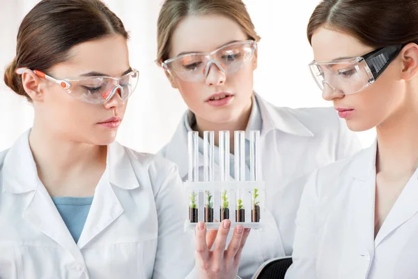 Жіночі вчені в лабораторії — стокове фото