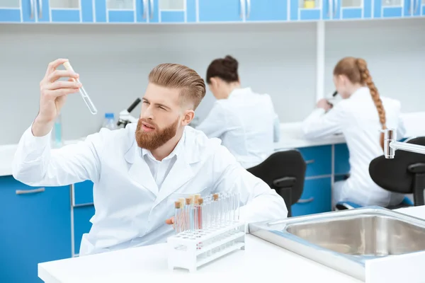 Wetenschapper werken in lab — Stockfoto
