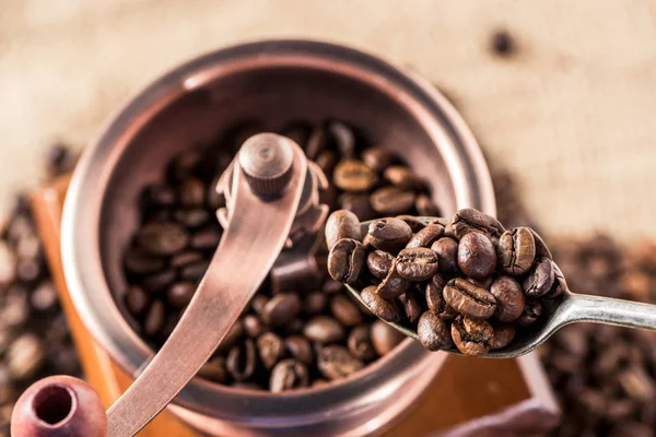 Coffee mill with coffee beans — Stock Photo, Image