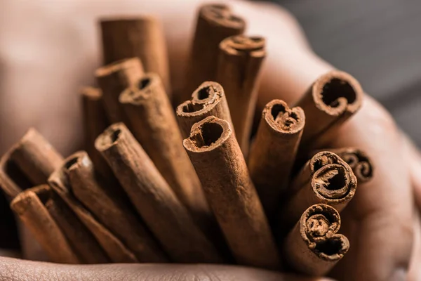 Aromatic cinnamon sticks — Stock Photo, Image