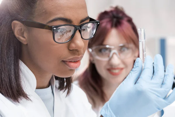 Cientistas que trabalham em laboratório — Fotografia de Stock