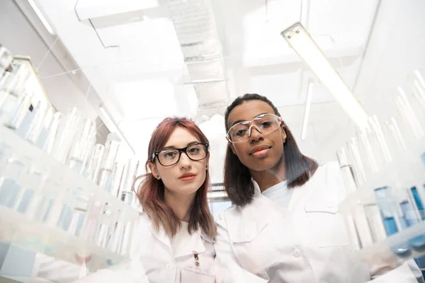 Wetenschappers groep in laboratorium — Stockfoto