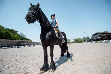 Young woman with horse  clipart