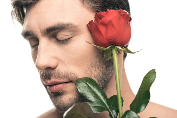 Hombre guapo con flor de rosa —  Fotos de Stock