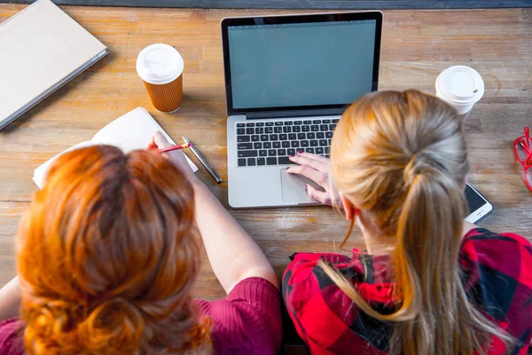 Mulheres usando laptop — Fotografia de Stock