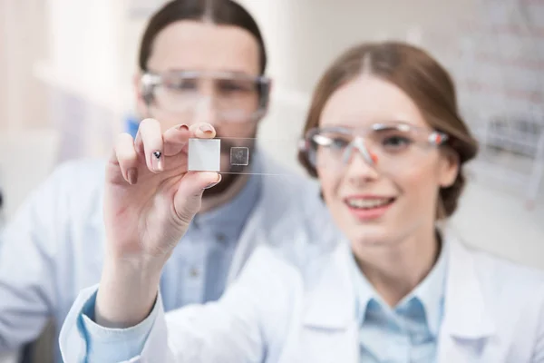 Due scienziati al lavoro — Foto stock