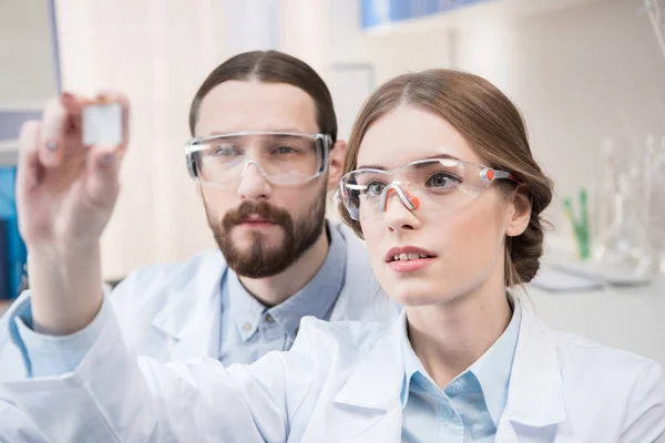 Dois cientistas a trabalhar — Fotografia de Stock