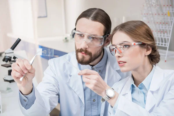 Two scientists at work — Stock Photo