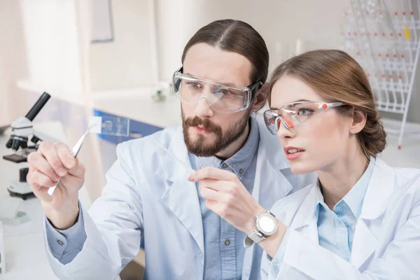 Dois cientistas a trabalhar — Fotografia de Stock