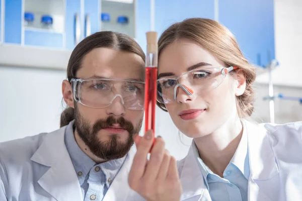 Cientistas com amostra química — Fotografia de Stock