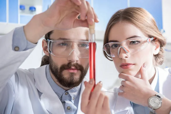 Scientists with chemical sample — Stock Photo