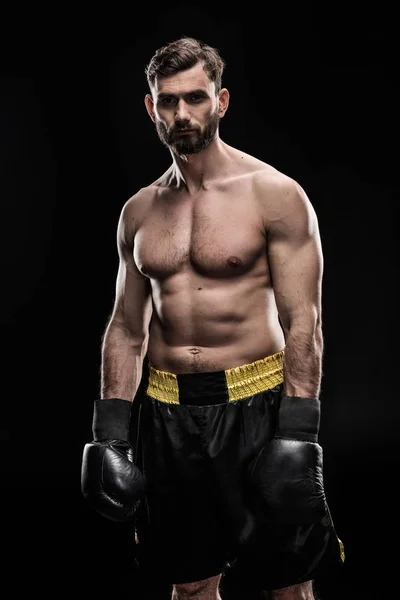 Спортсмен в боксерских перчатках — Stock Photo