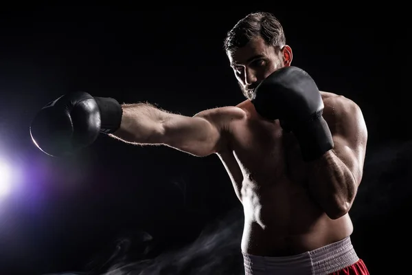 Young boxer in gloves — Stock Photo