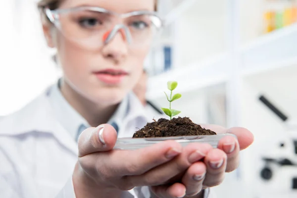 Female scientist with green plant — Stock Photo