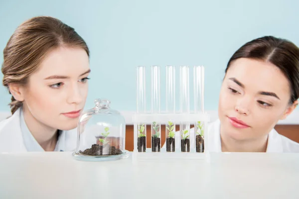 Young female scientists — Stock Photo