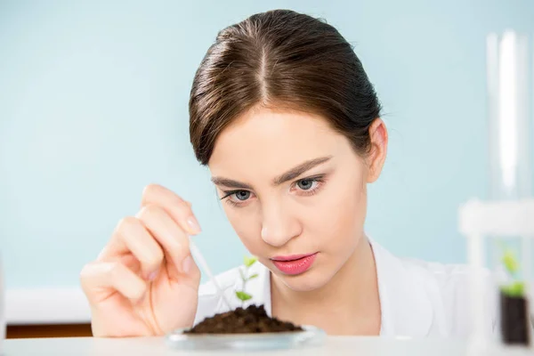 Female scientist with green plant — Stock Photo